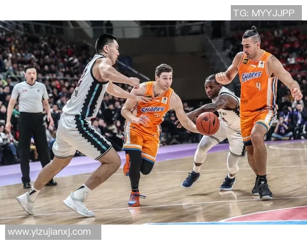 上海篮球队选拔赛表现分析与状态评估全面解读